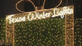 Bayou City Buzz - Texas Winter Lights