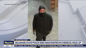 Delaware police seek man wanted in chemical hold-up at Arby's