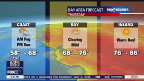 Mild to warm