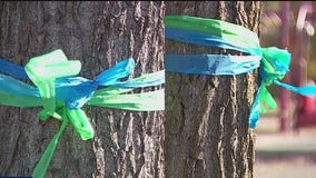 Annunciation ribbons being turned into permanent art piece