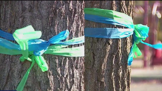 Annunciation ribbons being turned into permanent art piece