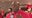 Former UH player Lynden Rose speaks ahead of title game