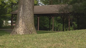 Disturbing incident takes place at Taylor park