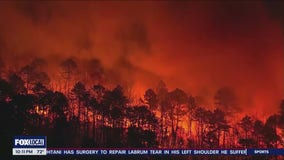 New Jersey wildfire torches over 150 acres, forces evacuations of nearby homes