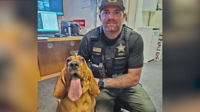 'Amazing little puppy': Neglected dog now saving lives in Indian River County