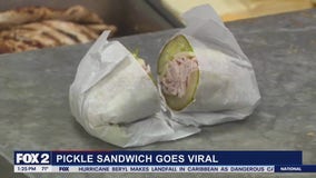 Pickle Sandwich Goes Viral