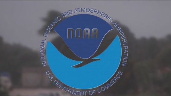 Firing meteorologists, NOAA employees is 'spectacularly short-sighted,' UCLA climate scientist says