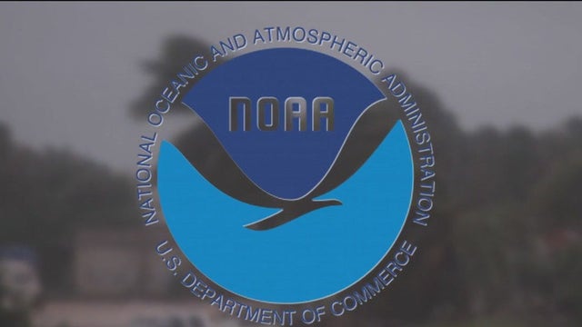 Firing meteorologists, NOAA employees is 'spectacularly short-sighted,' UCLA climate scientist says
