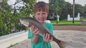 Lots of fish activity before and after storm