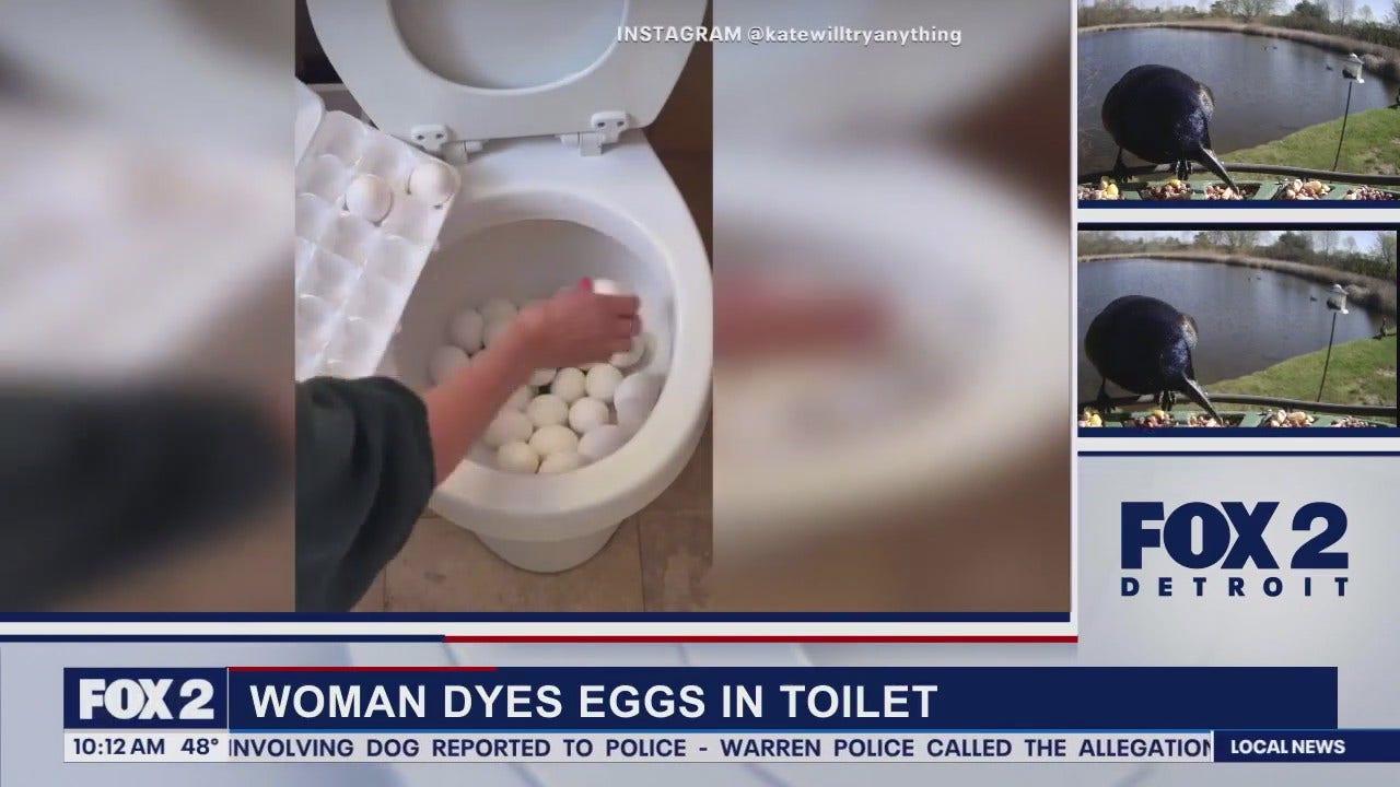 Toilet (Easter) eggs, tariffs effects wine selections, goats clearing fields and more | FOX 2 Detroit