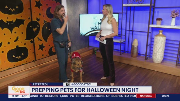 Prepping pets for Halloween night