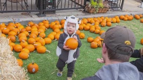 Chicago businesses partake in Trick or Treat on Southport