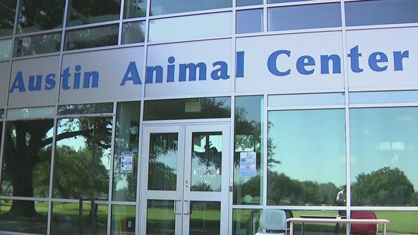 Austin Animal Center hits critical capacity, closes intakes