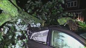 Cleanup begins after destructive night of storms across Chicago