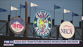 Future of Everett AquaSox hinges on ballpark decision