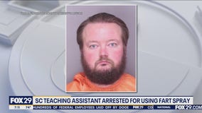 Teaching assistant arrested for using fart spray in school
