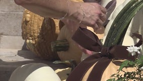 A taste of Fall | Forecasting With Friends