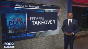 Trump’s order to end cashless bail & McDonald for Attorney General