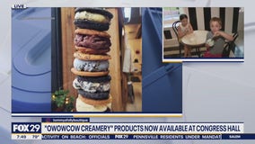 Oh wow! Owowcow Creamery goods at Congress Hall