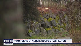 Teen stabbed by family member near West Seattle park, police say