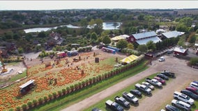 Come along to explore Bengtson's Pumpkin Farm in Homer Glen