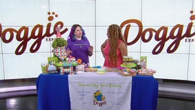 Small Business Spotlight: Doggie Express