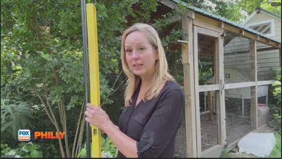 Hanging string lights, benefits of broadleaf plantain | Tuesdays with Toni