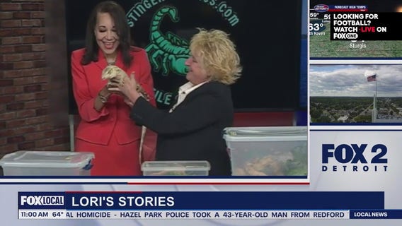 Lori's Stories In The Music