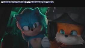 Expanding 'Sonic the Hedgehog' franchise