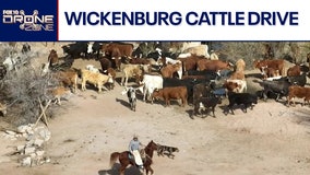 City Slickers | Drone Zone