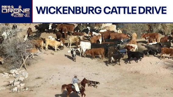 City Slickers | Drone Zone