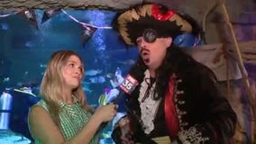 Pirates of the Haunted Seas at Sea Life Orlando Aquarium