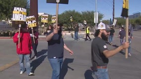 Amazon Teamsters workers go on strike