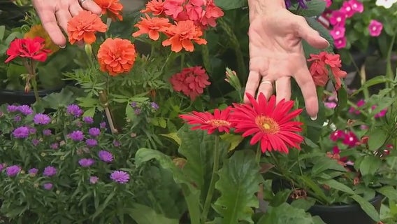 Create your own fall-inspired container gardens