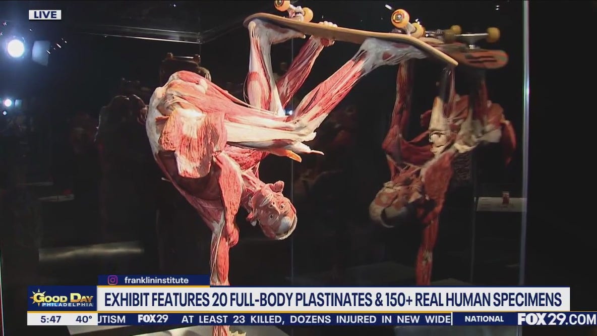 The Franklin Institute: Body Worlds