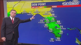 Tampa weather | First fall cold front on the way