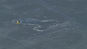 Michigan ice rescue: Coast Guard, first responders pull victim from lake