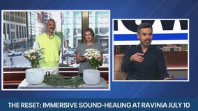 Escape the noise: Experience a sound-healing journey at Ravinia | ChicagoNOW