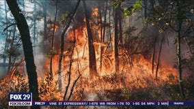 Cause of NJ wildfire announced as firefighters work to contain it