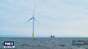 What is the future of offshore wind farming?