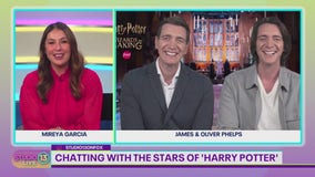 'Harry Potter' stars host 'Wizards of Baking' season 2