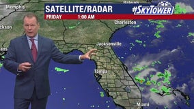 Tampa weather | not much rain in store this weekend