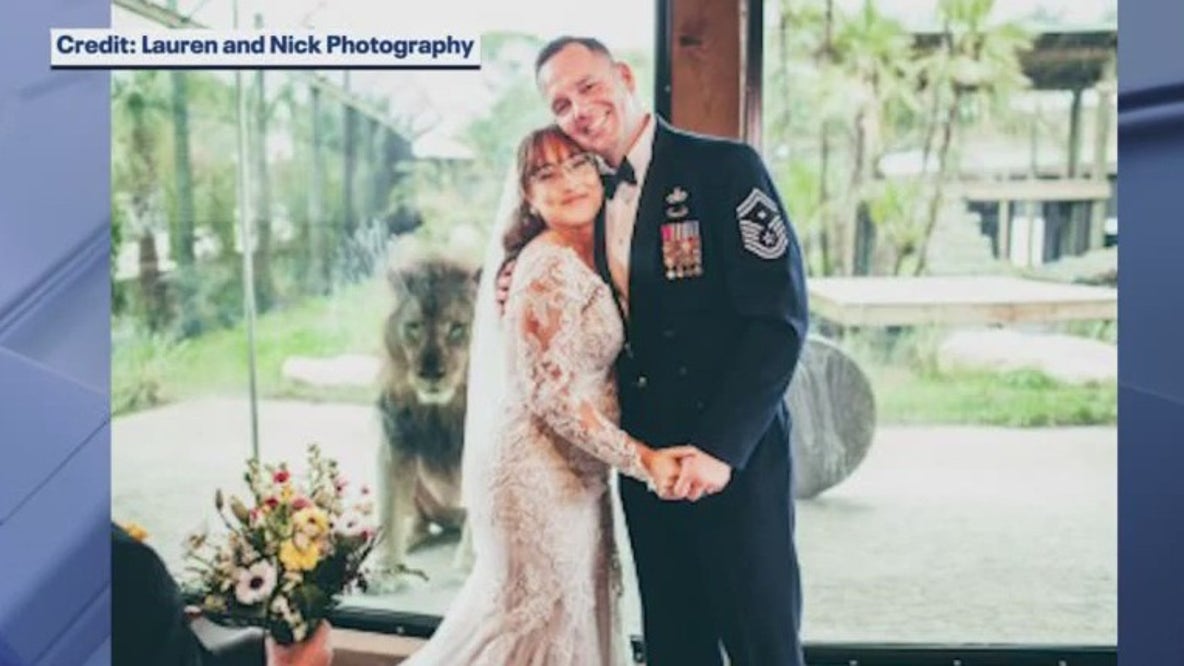 Lion photobombs wedding ceremony pictures