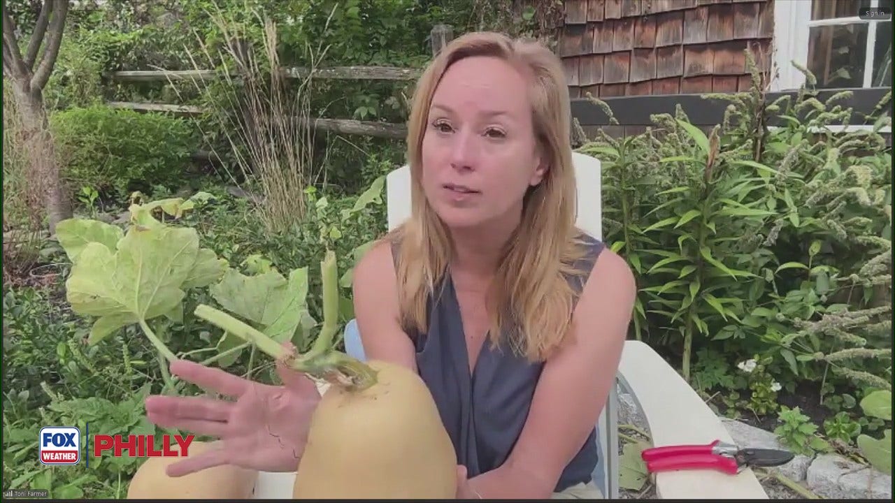Tuesdays with Toni: It's getting cooler, what do I do with my garden? | FOX Weather Philly