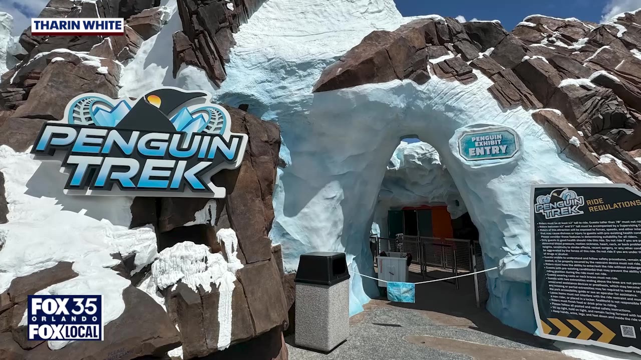 Penguin Trek | Free Disney birthday perk