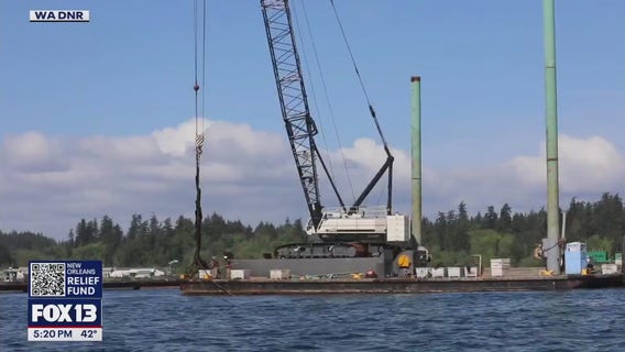 WA upholds ban on open-water ‘net pen’ salmon farms