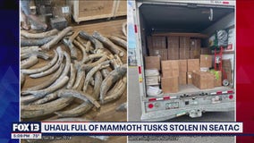 U-Haul full of mammoth tusks stolen in SeaTac