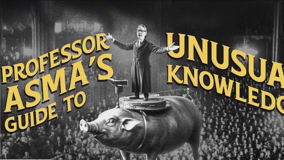 Why we love being scared — the psychology of monsters and horror | ChicagoNOW