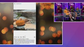 Happy Halloween from Caroline & Coco!