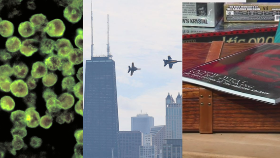 Brain-eating amoeba risks, Chicago Air and Water Show & more | ChicagoNOW